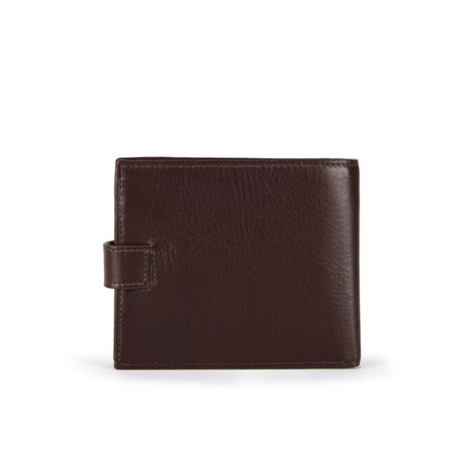 3103-brown-back