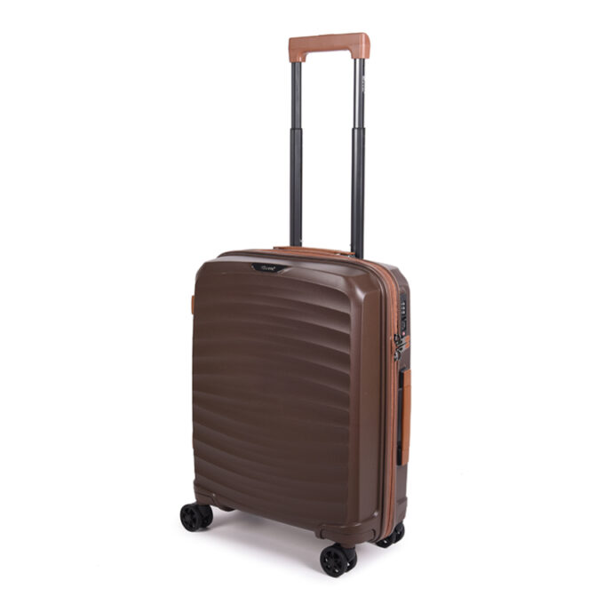 move-maluk-brown-main move-maluk-brown-main-1