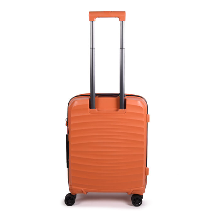 move-maluk-orange-back
