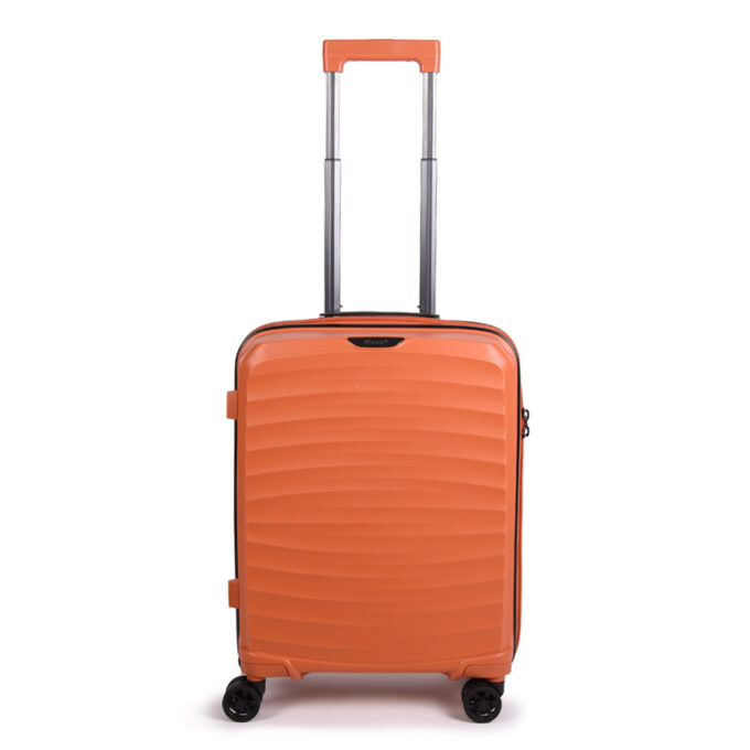 move-maluk-orange-front