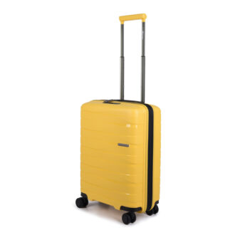 distinct-small-yellow-main-1