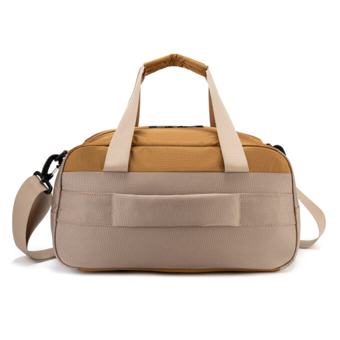 vector-beige-back