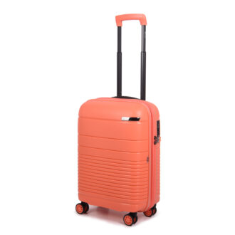 next-small-coral-main-1
