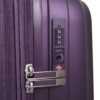 vertical-purple-TSA