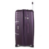 vertical-purple-large-expandable